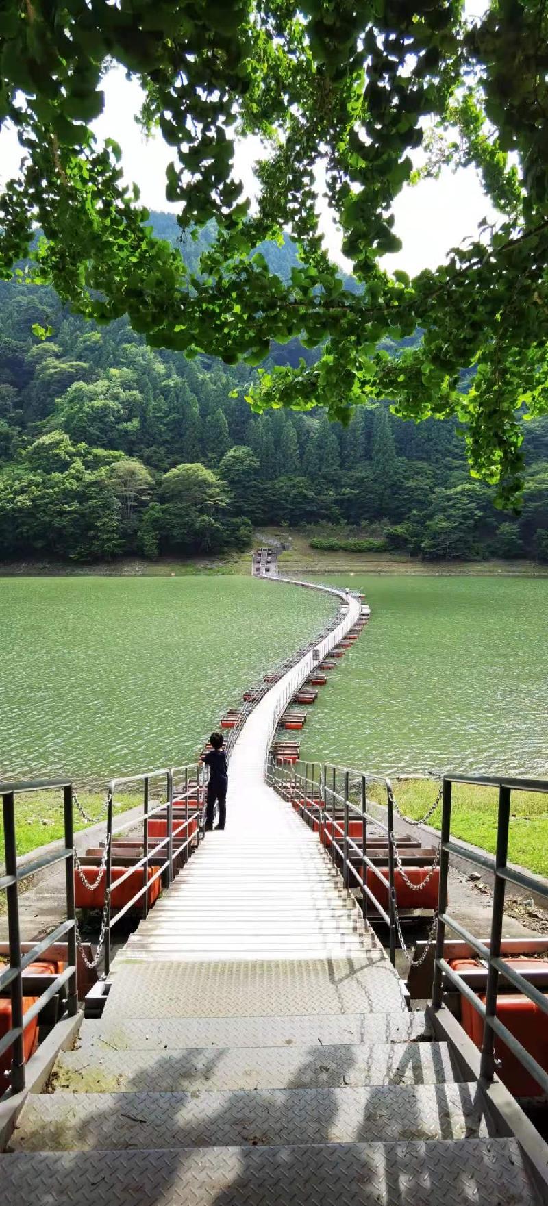 暑日天涯~诗词八首:文/梧桐(图4)