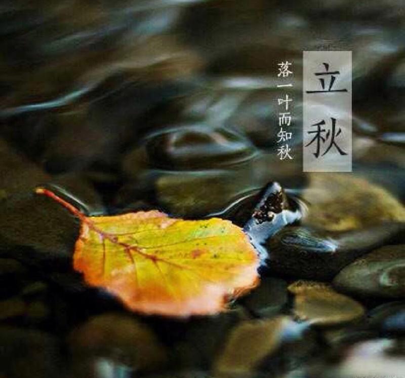 立秋日有吟 ｜作者：李帆