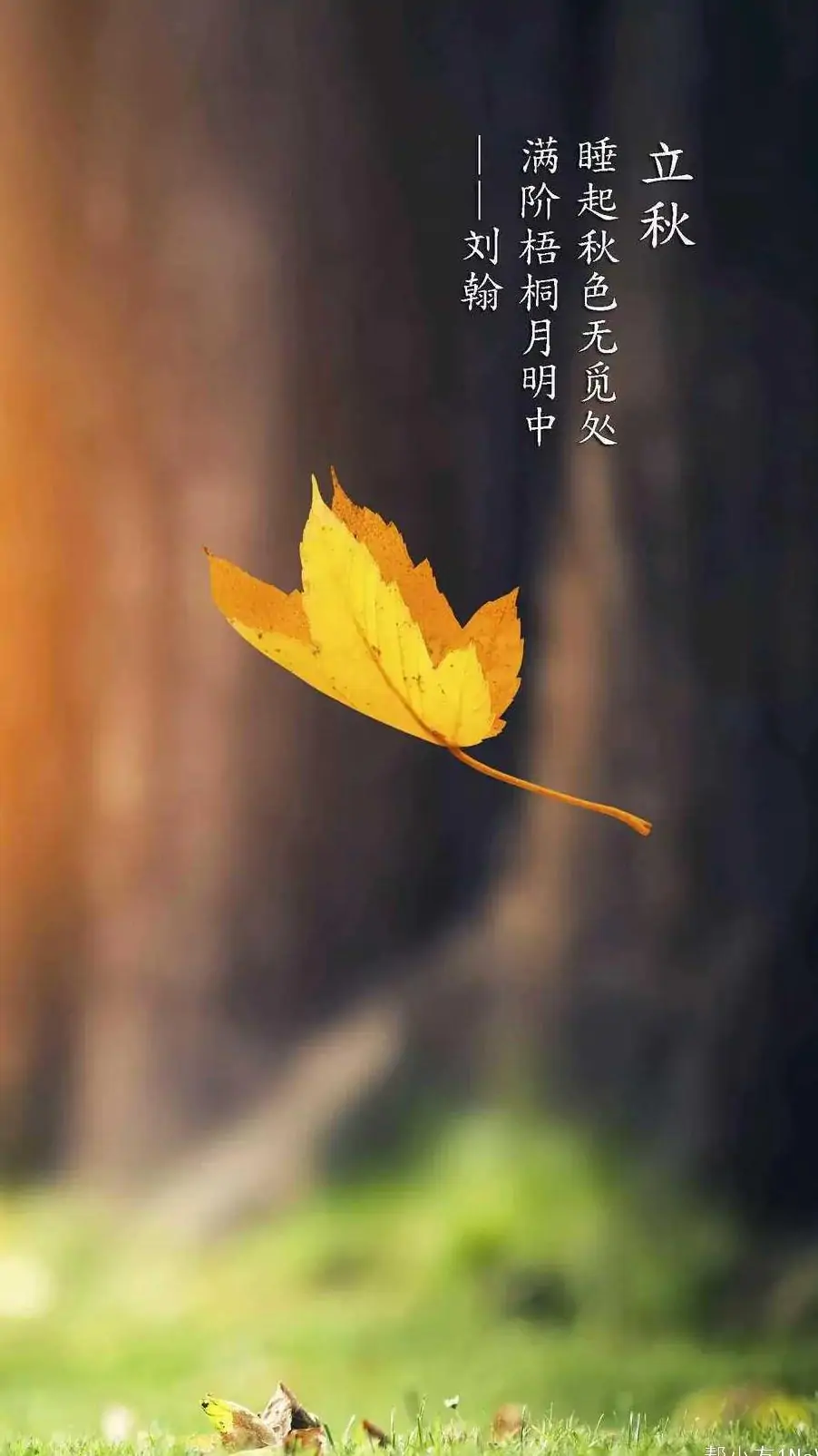 立 秋｜文/杜卫廷