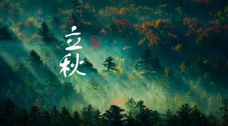 立秋有感｜文／王进魁，图／网络