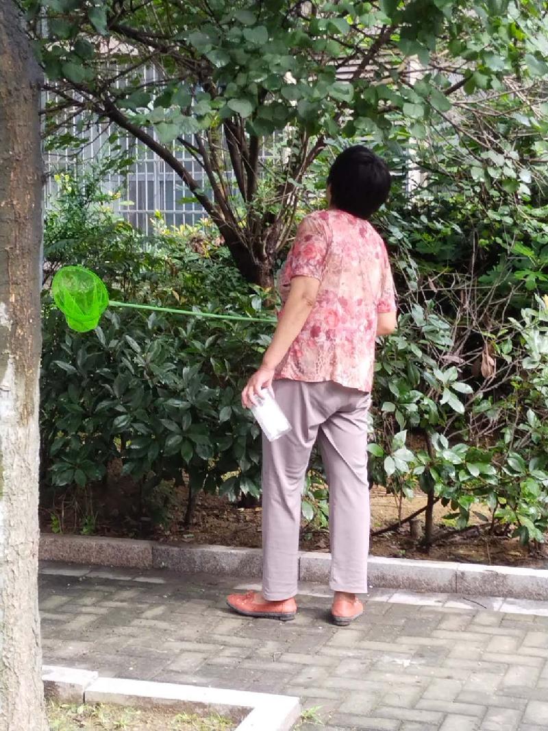 同题:咏蝉‖巴彦诗协诗词卷【110期】(图5)