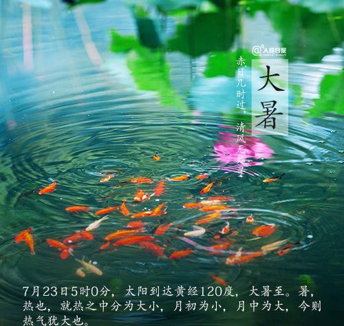 琴韵 个人诗歌专辑(三十八首)（图4）
