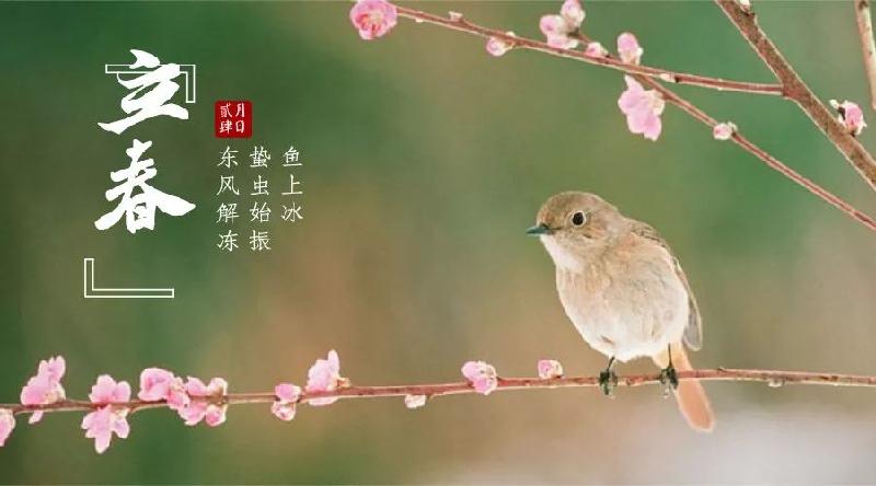 荐赏 孙丽华 如梦令 廿四节气专辑(图3)
