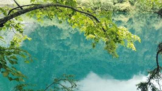 《上海诗人.王佐臣》诗选（图6）
