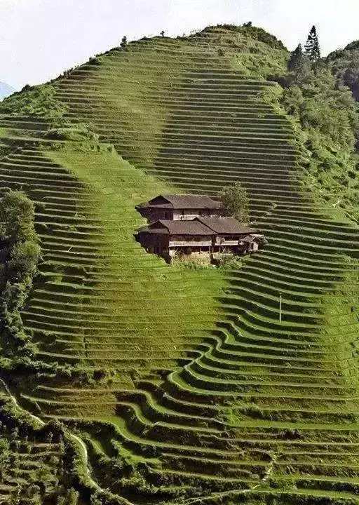 庆福诗歌《完成那个梦想》欣赏金牌主播上善若水诵读编辑：宋梅【中国长江文学社】有声文学平台第2618期（图8）