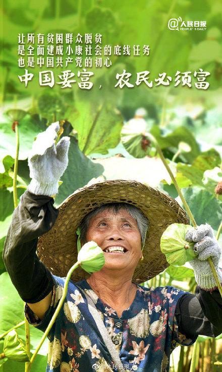 中国农民丰收节感赋 心语滋声║诗 袁祯宏║书（图18）