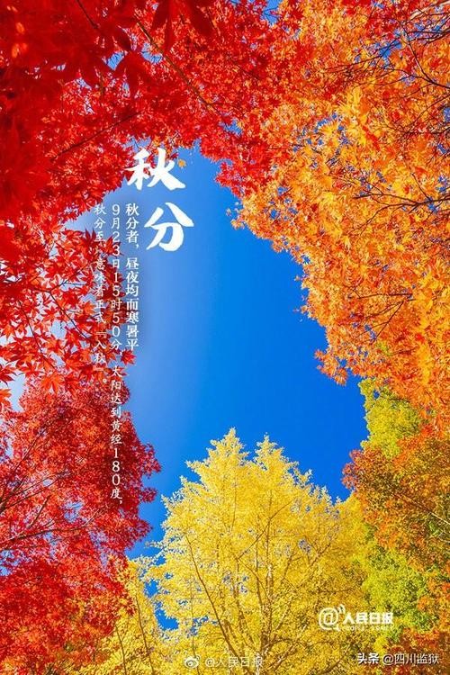 秋分那天一一读油田好友树新微信有感文／太平王子