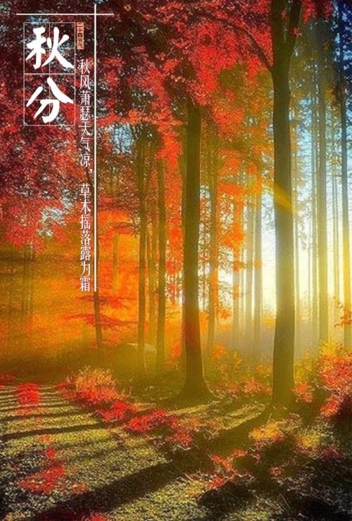 七律·喜庆秋分农民丰收节（下平七阳）于金奎（宁夏石嘴山）