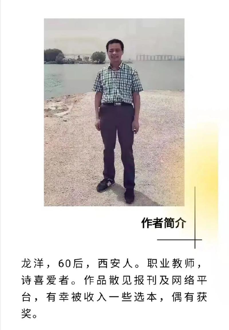 龙洋一日一诗一评之七《塞上柳》(图3)