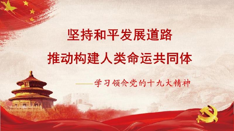 赞“构建人类命运共同体”作者丁培恭｜海外头条（图2）