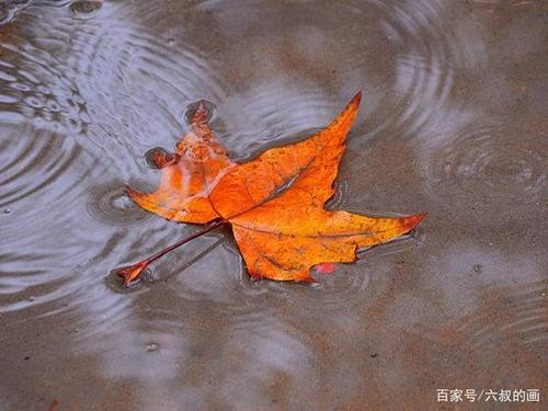 天津诗人田恩来老师佳作 忆王孙秋雨集（图2）