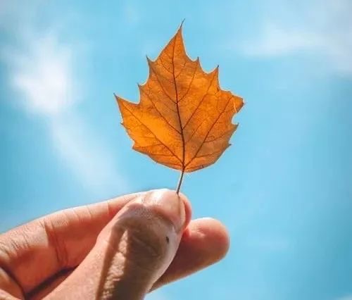 ［汉俳诗］苦•辣•酸•甜//文/刘金龙（图3）