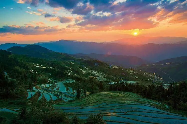 严峻诗歌《鹤岗抒情》欣赏金牌主播静远沐达情怀虹诵读编辑宋梅【中国长江文学社】有声文学平台第2629期(图7)