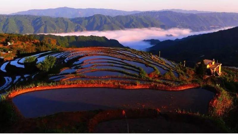严峻诗歌《鹤岗抒情》欣赏金牌主播静远沐达情怀虹诵读编辑宋梅【中国长江文学社】有声文学平台第2629期(图13)