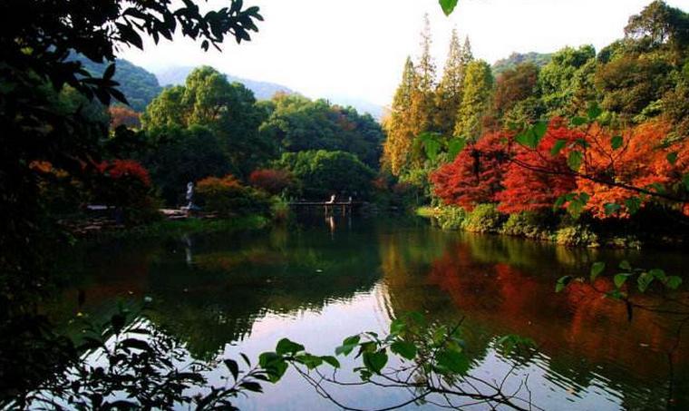 红旗飘飘(图5)