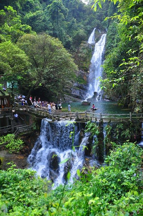 鼎湖山文/石效朋（图2）
