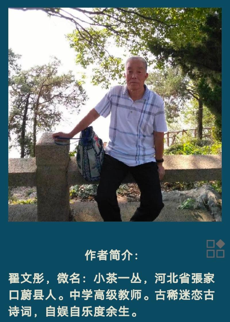小茶一丛《题图·孤鸟秋艳》(外一首)诵/殷钰（图3）