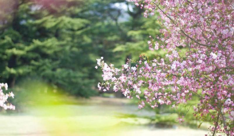 【新诗大观】远方（诗二首）||文/曹志刚（图2）