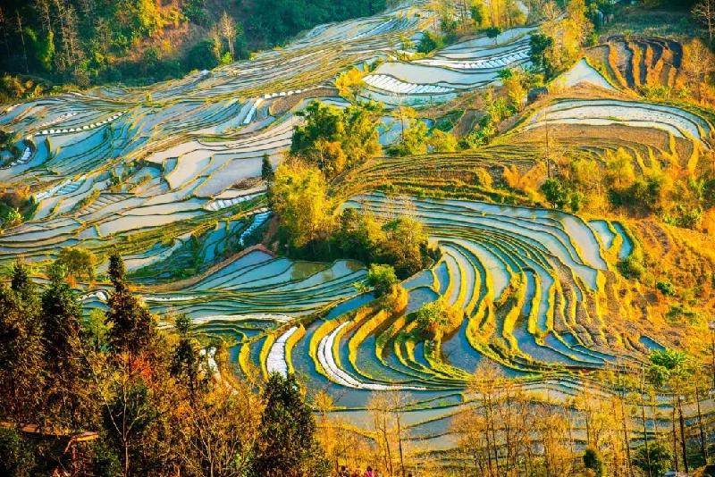 白云翔诗歌《把秋天带回家》欣赏金牌主播茵茵诵读编辑:宋梅【中国长江文学社】有声文学平台第2670期(图7)