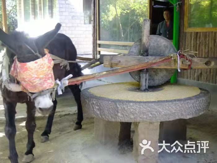 联机全球发布时钟精品诗歌（图10）