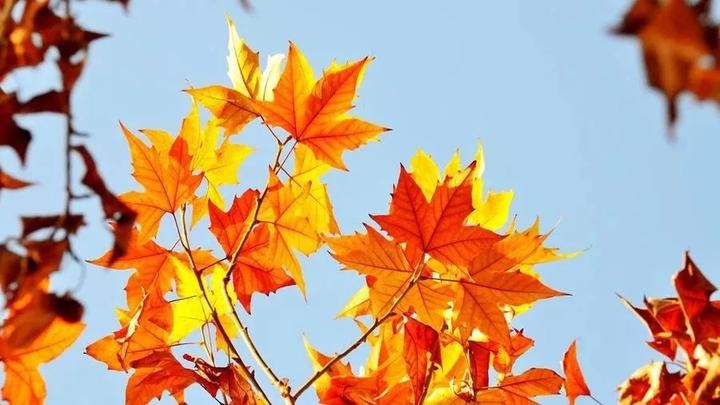 古风诗词专辑,本期审稿:常工编辑:宋梅【中国长江文学社】有声文学平台第2695期(图11)