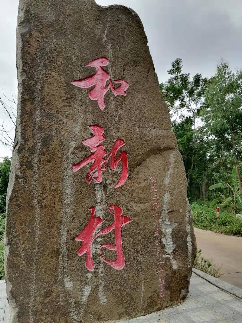 和新村 作者:王石白雨 主播:曹钧 京津沪头条文学平台发布