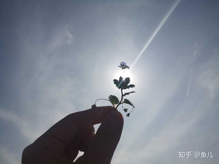 现代诗 两个人的车站（组诗十八首）作者吴仰生｜海外头条（图21）