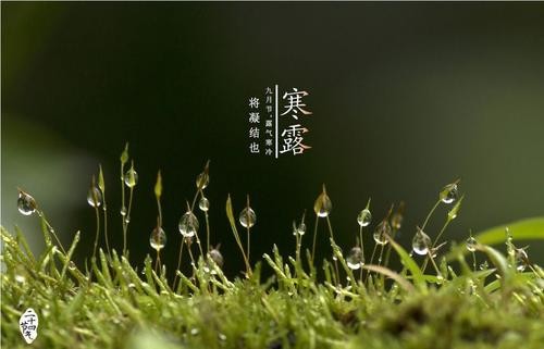 寒露 薛有毅（山西榆次）（图4）