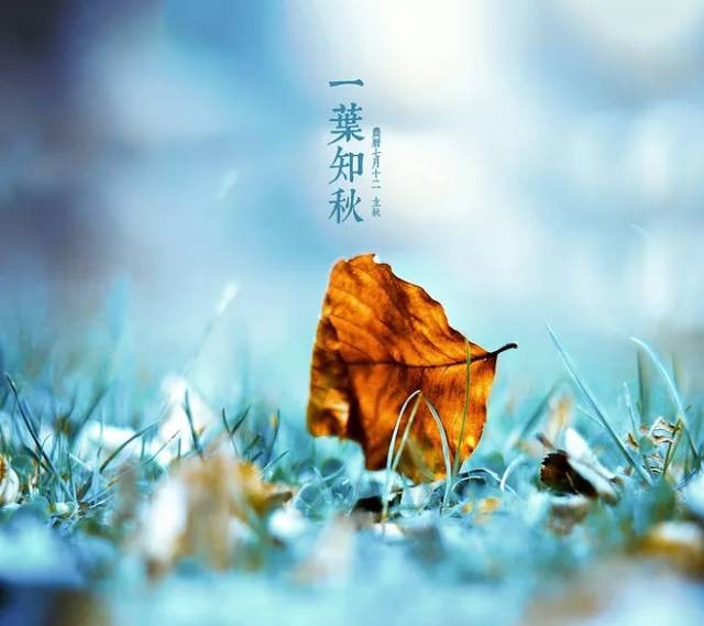 《节气》寒露：作者／李晓梅（陕西商洛）（图7）