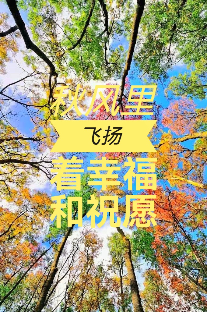 有种感恩,长在容颜里/文 张凤玲/诵 老菩提(图5)