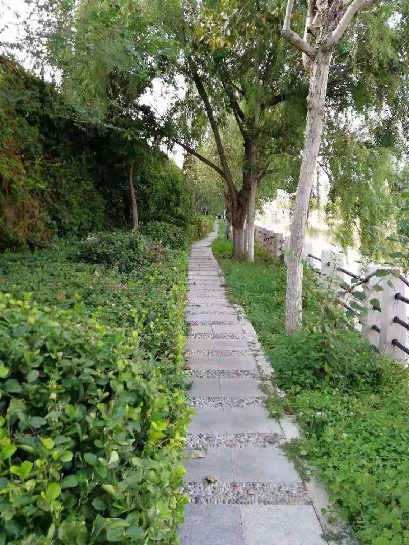 七绝•秋美(50首)文/画屏(图4)