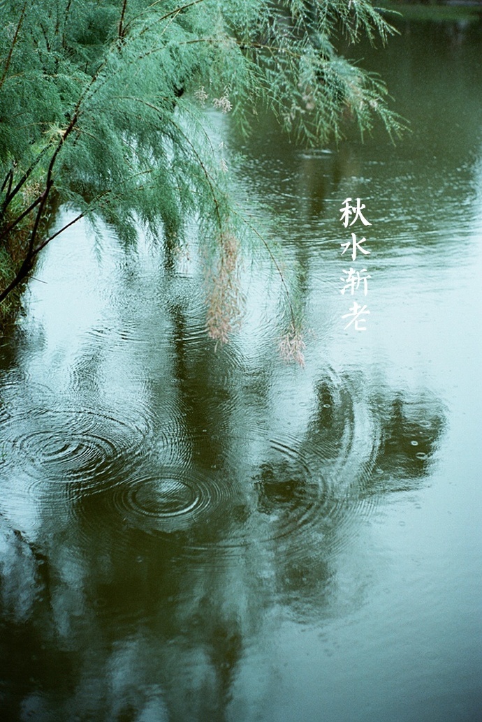 寒露吟文/朱福生(外一首)