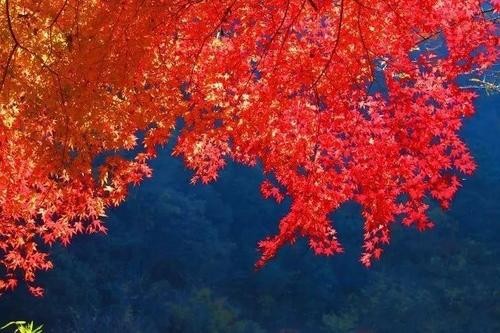 秋文／陈铠 黑龙江（图3）