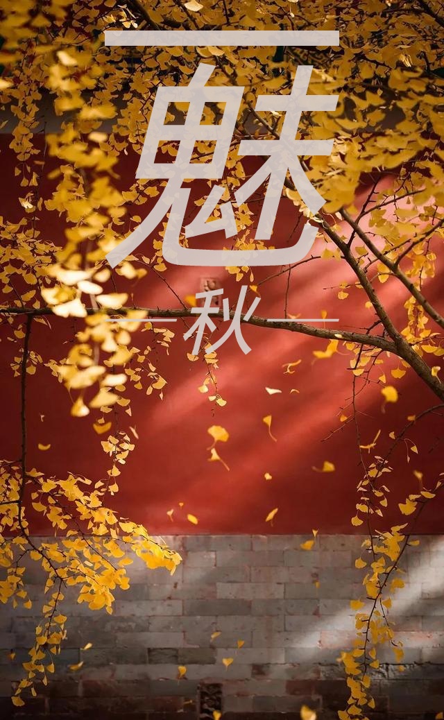 婧暄诗歌 ll咏秋(外一首)ll诵读 有一天 茶香(图4)