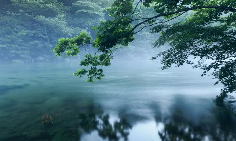 《远去的思念~致外婆》/严峥|朗诵:李莉(图9)