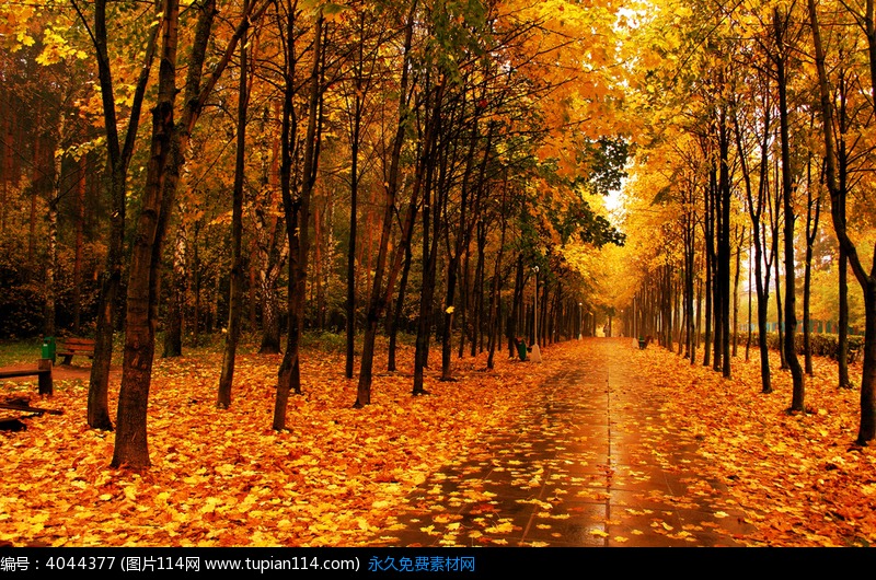 1633917049329024551.jpg src=http_%2F%2Fimage.tupian114.com%2F20150629%2F18290322.jpg&refer=http_%2F%2Fimage.tupian114.jpg