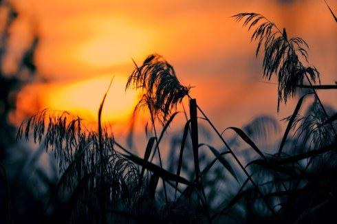 七律 秋夜 李建初（永嘉）（图3）
