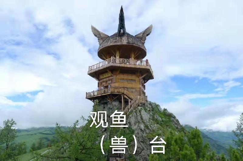 喀纳斯湖：作者丁培恭｜海外头条（图5）