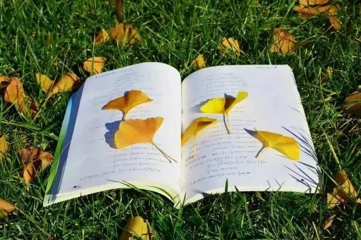 王新华诗词集锦【冰心文化传媒】(图6)