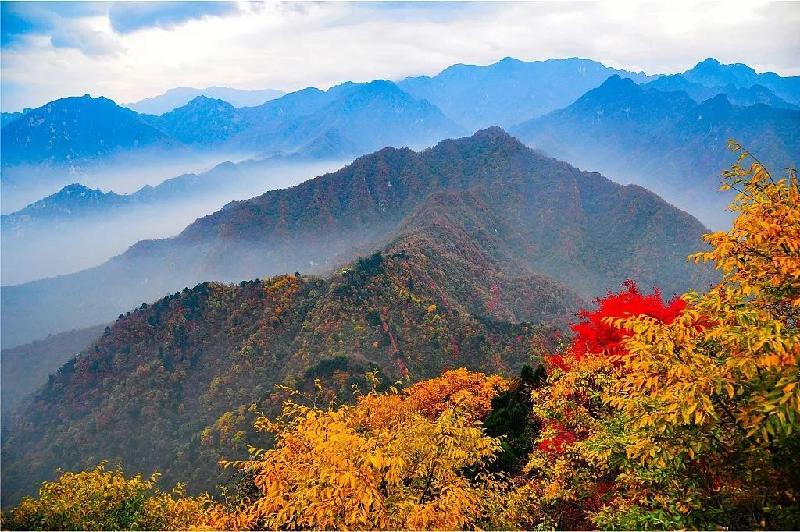 【专题推荐】李建印//重阳有寄｛欣赏｝（图6）