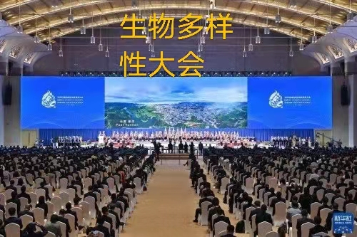 赞生物多样性（散文诗）作者丁培恭｜海外头条（图3）