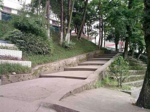 东华岭,那段珍贵的青春岁月||作者:刘晓林(图13)