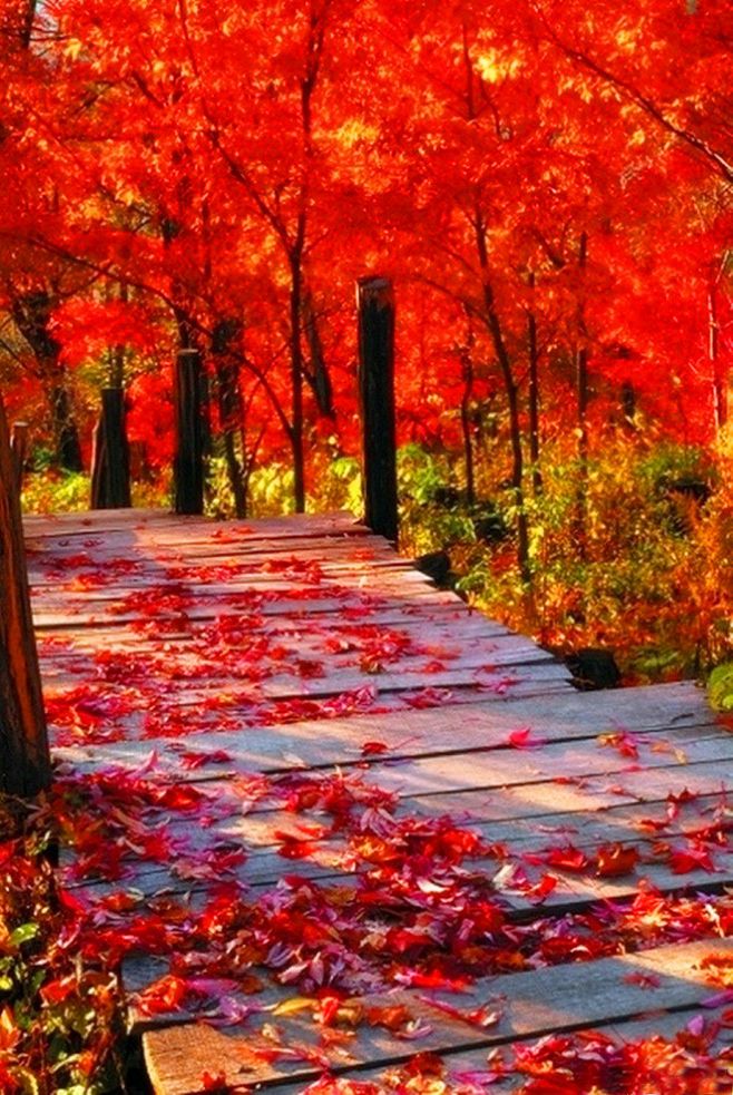 1634376395222060547.jpg src=http_%2F%2Fhbimg.b0.upaiyun.com%2Fa6e41b6cb598b7096822c507912b10e8155706df60c18-RrlpHW_fw658&refer=http_%2F%2Fhbimg.b0.upaiyun.jpg