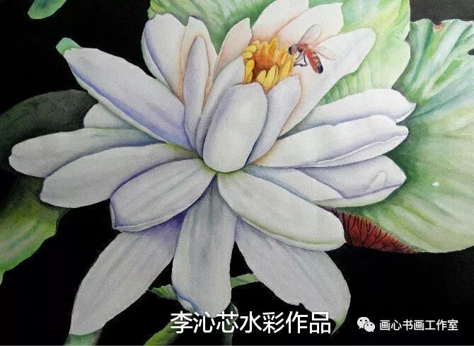 原创作品【加拿大水城笔友群月刊第三期】(现代诗版)(图5)