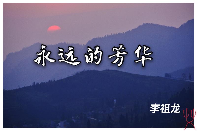 李祖龙:永远的芳华