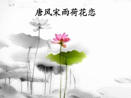 （古风）梦游唐诗景象 文/张学杰（图3）