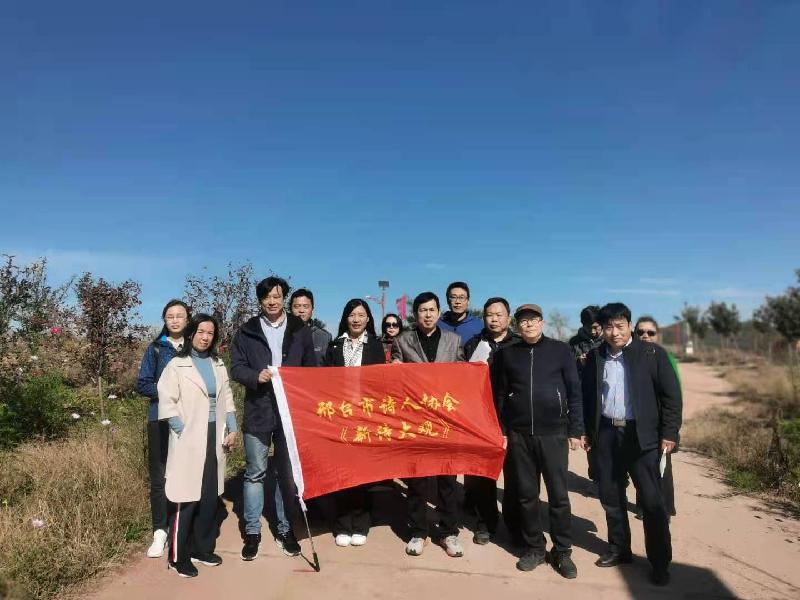 【新诗大观】金泉山||文/归海无期