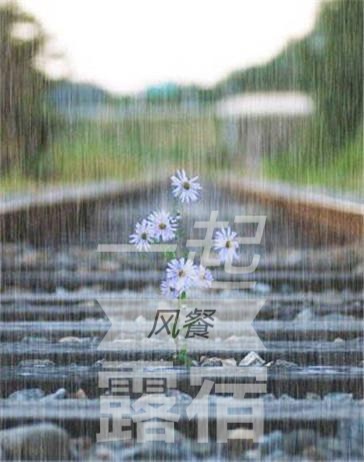 这一世 ll 文 解智伟 ll 诵 马贵祥 ll 解析 文 春九美华 ll 诵 白琳(图4)