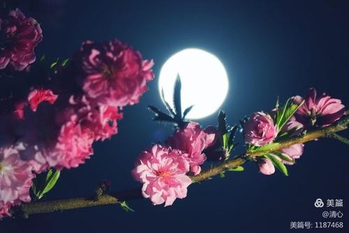 冬 藏 谭昌先（图2）