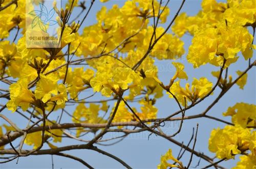 《江南诗絮.海南天北》0052（图23）